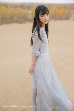 新上门女婿